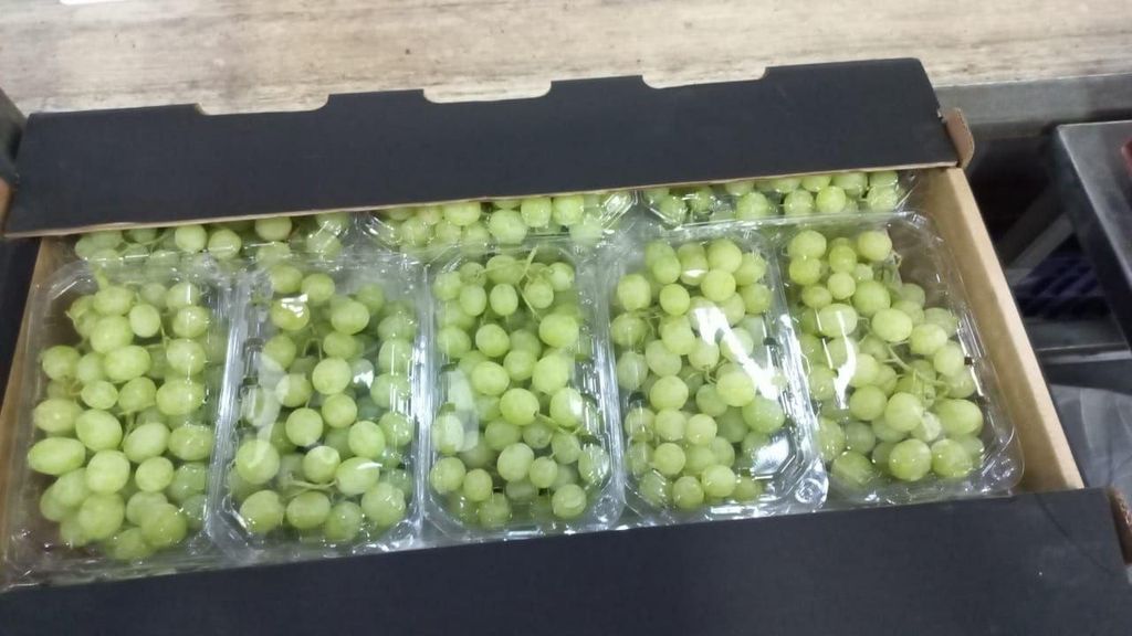 Sweet-Grapes-Egypt-Export-GreenAGro2.jpg