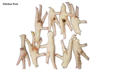 0029-480x300.jpg