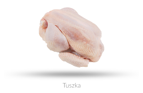 Tuszka.png