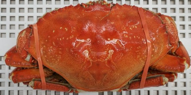 Screenshot 2023-05-12 115839.png