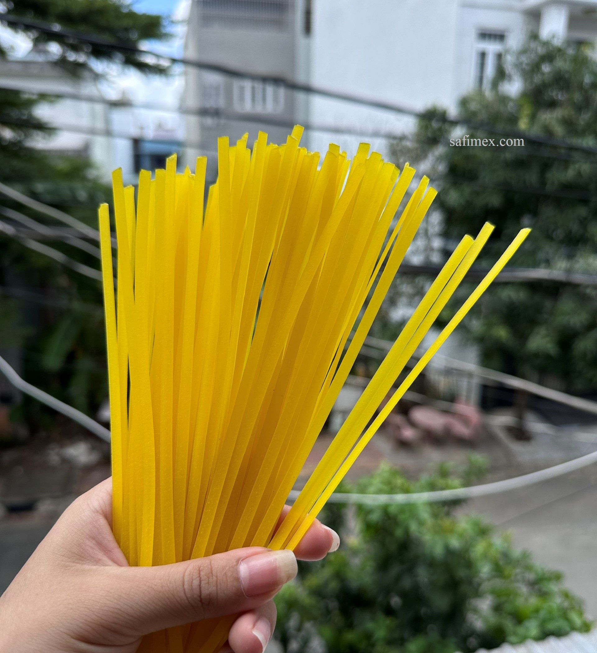 quang noodle11.jpg