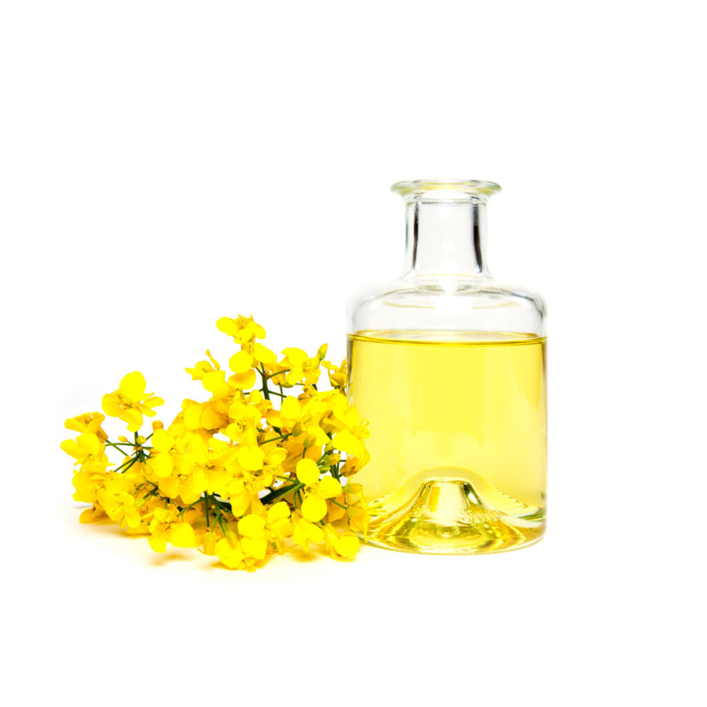 Canola Oil.jpg