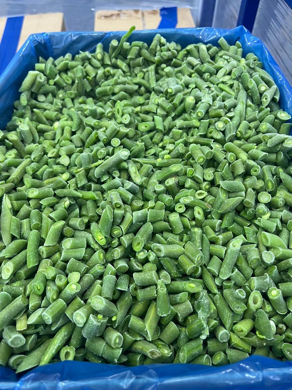 Green beans 1-2 inch (4).jpg