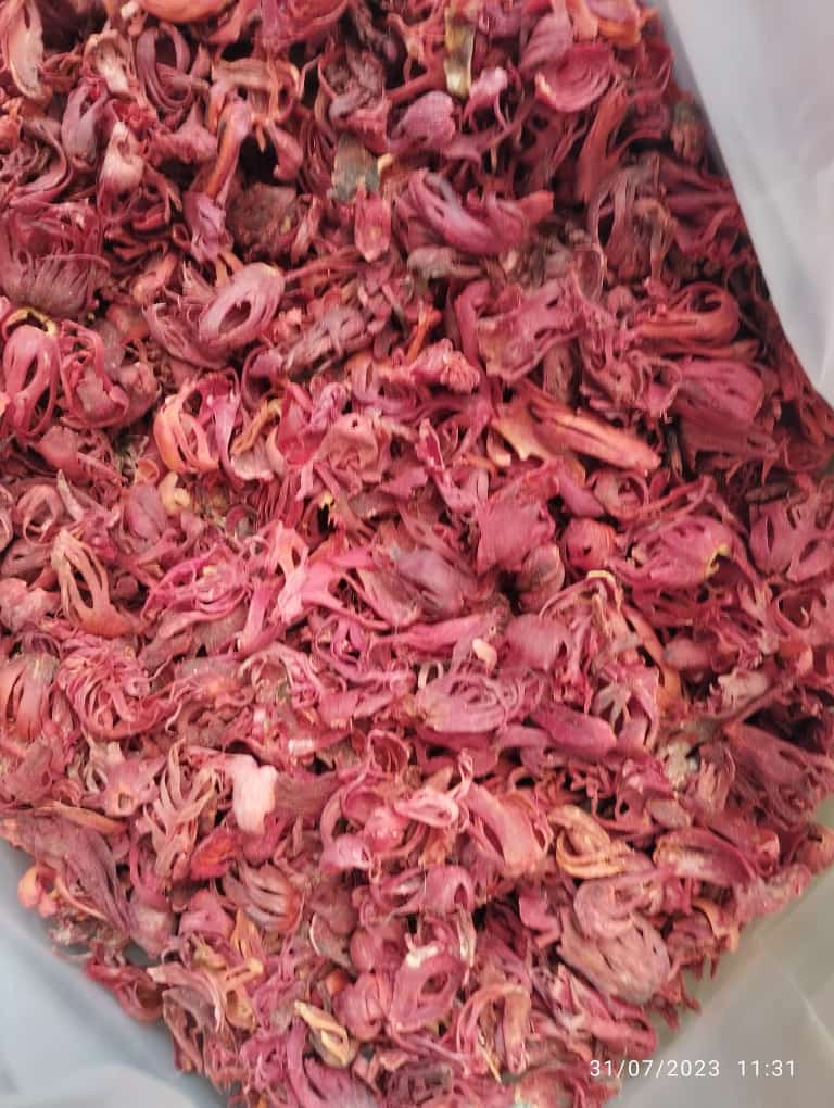 WhatsApp Image 2023-08-04 at 3.09.53 PM.jpeg