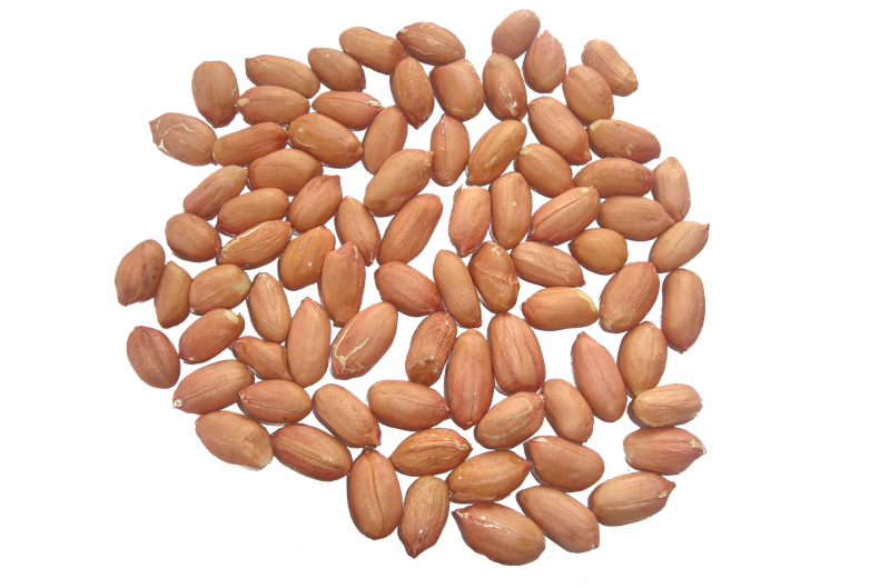 Peanut-Kernels_2.png