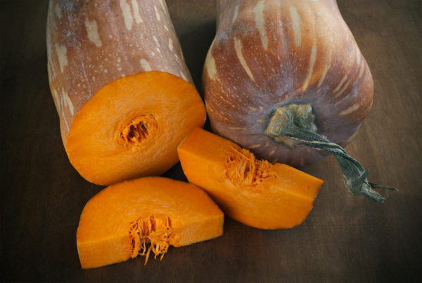 Zucca_napoletana-600x403.jpg