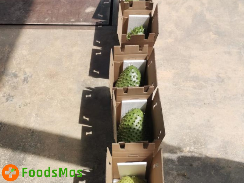6-Final-Product-FoodsMas-Fresh-Soursop.jpg