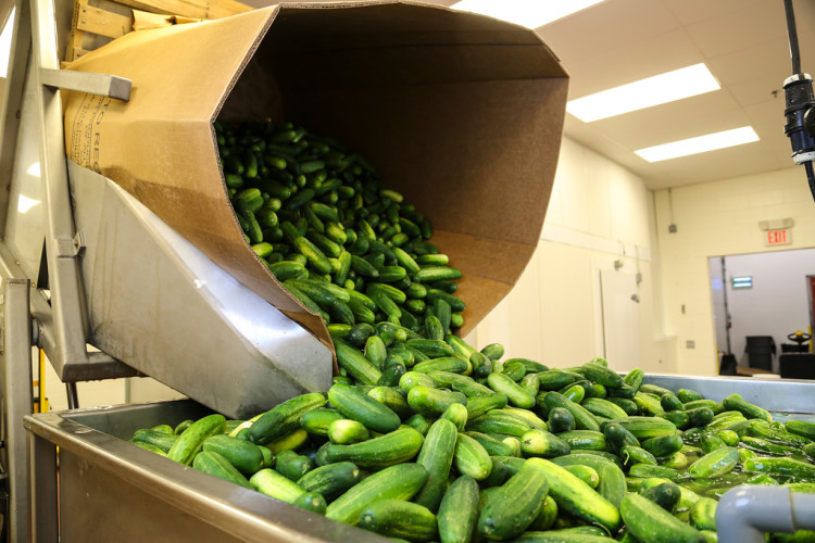 Gaylord-Cukes-e1430928485116.jpg