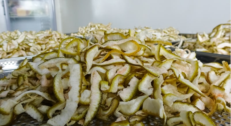 vỏ bưởi 1.png