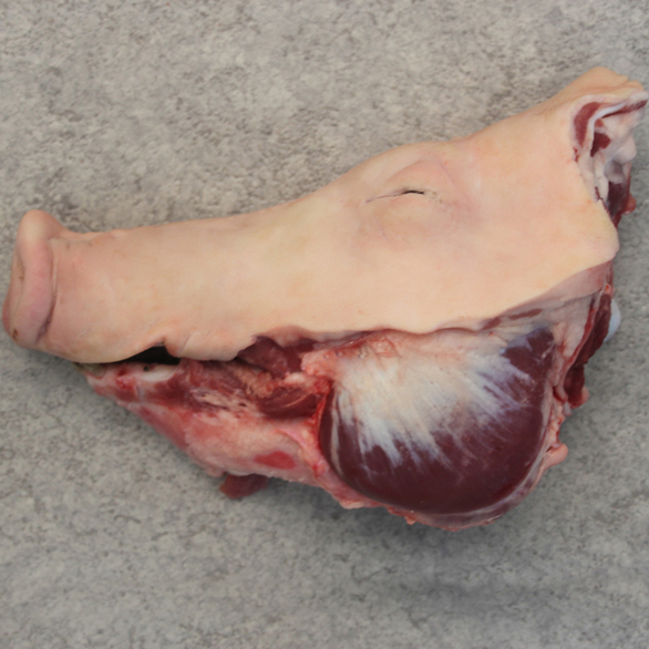 mrdia-cabeza-sin-oreja.jpg