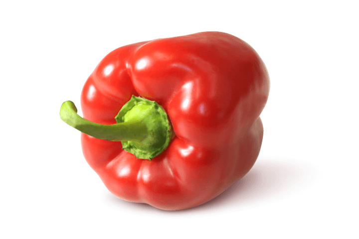 Paprika-Rot-Gemuesebau-Steiner_01.png