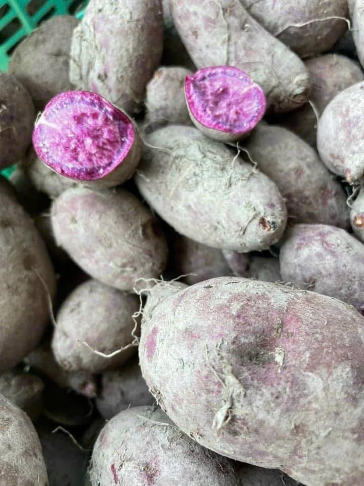 Purple_Sweet_Potatoes_KL_tim_7.jpg