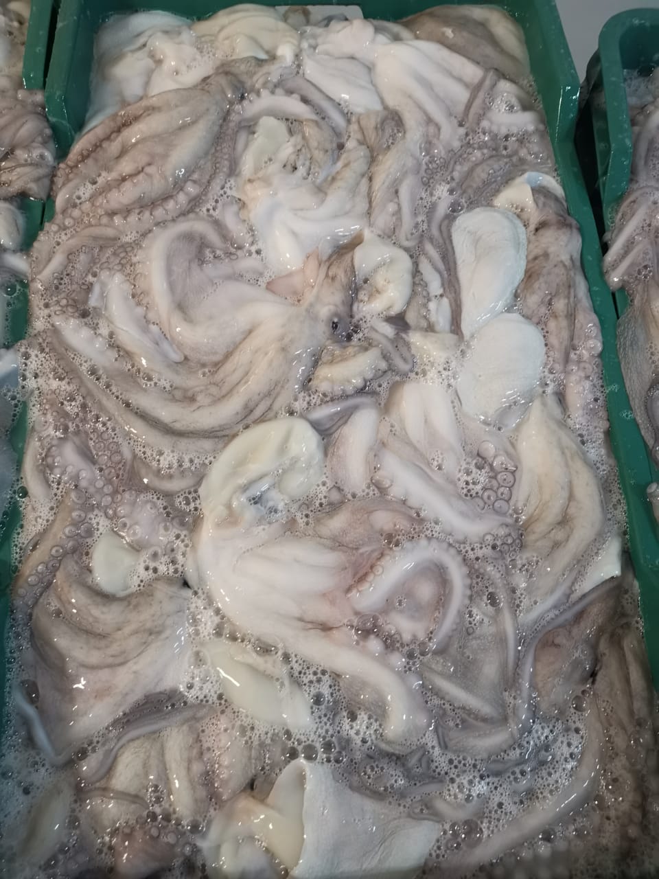 WhatsApp Image 2019-11-01 at 1.31.07 PM.jpeg