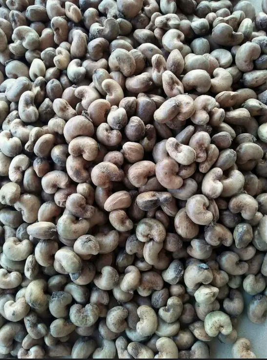 nuts .png