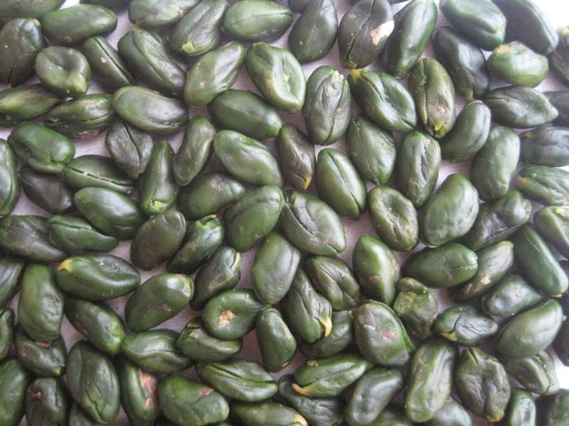 Green Kernel Super.jpg