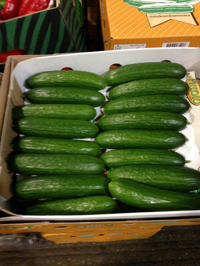 IMG-20190504-WA0042.jpg