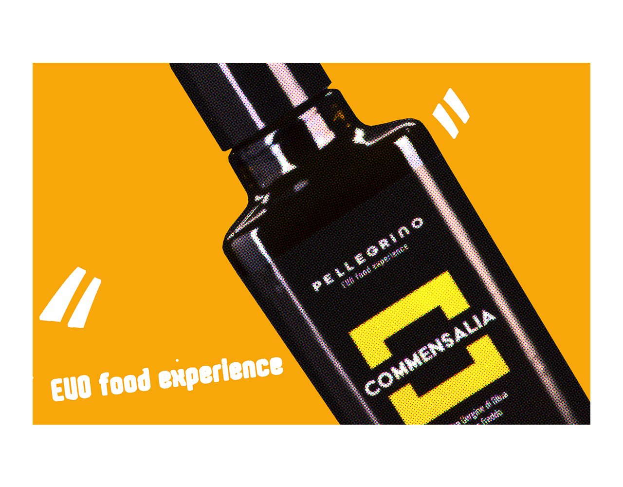 commensalia illustrazione.jpg