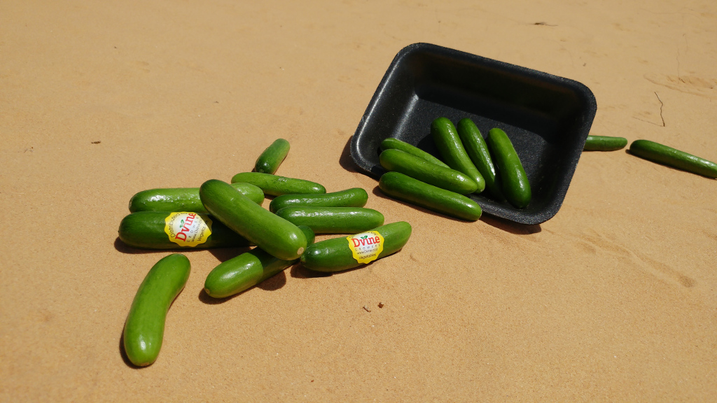 Baby Cucumber 4.jpg