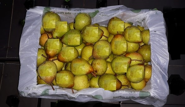 Half Bushel carton box with 2 layers.jpg