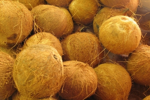 dừa 1.jpg