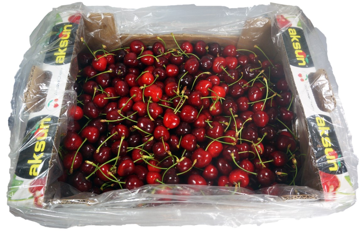 Cherry (4).jpg