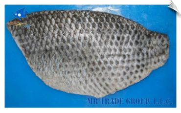 FullSkinOnTilapia.png
