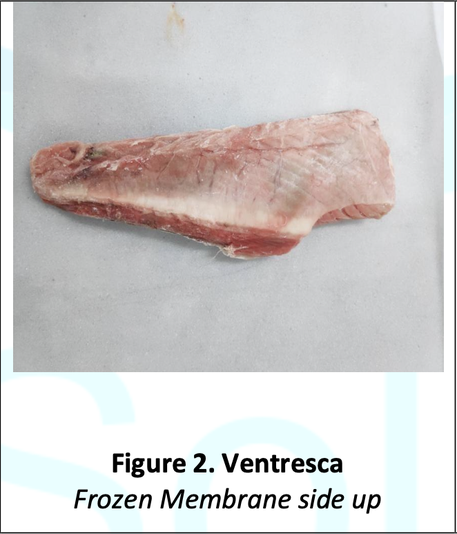 Figure 2. Ventresca.jpg.png