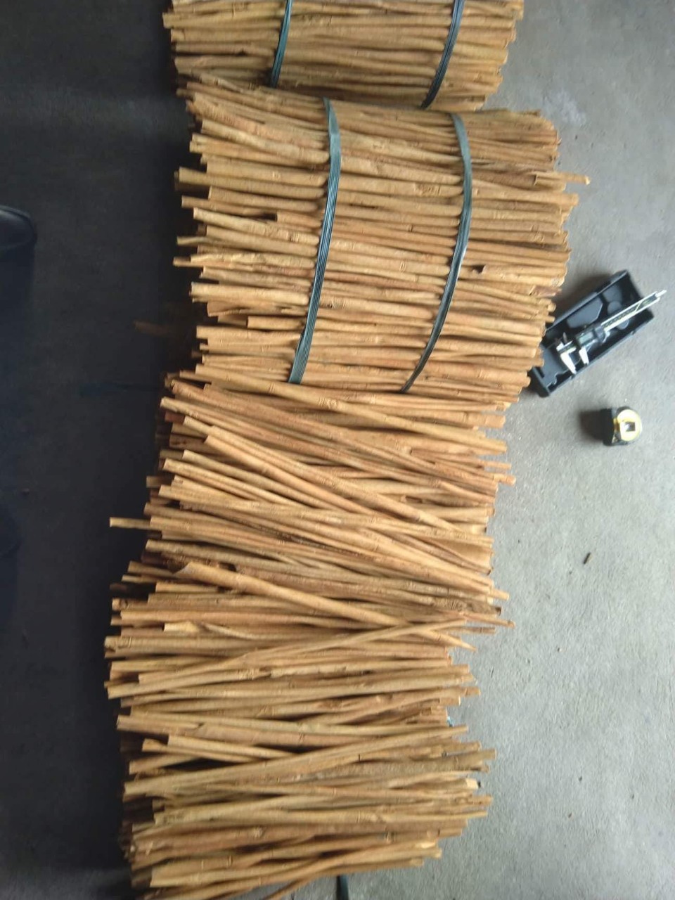 Cassia sticks 18cm.jpg