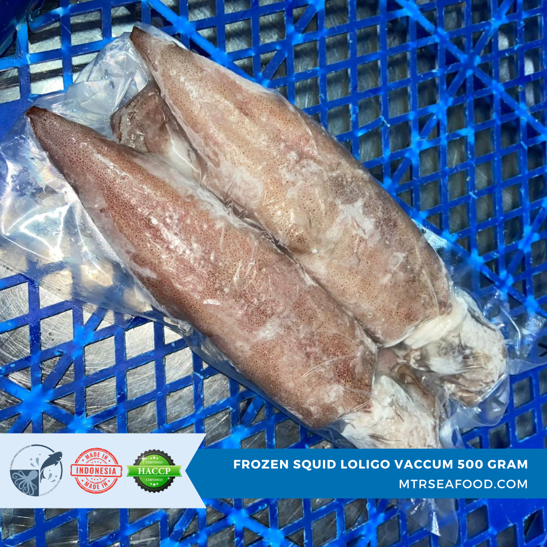 FROZEN SQUID LOLIGO VACCUM 500 GRAM  MTRSEAFOOD.COM.png