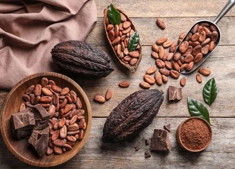Cocoa Beans_2.JPG