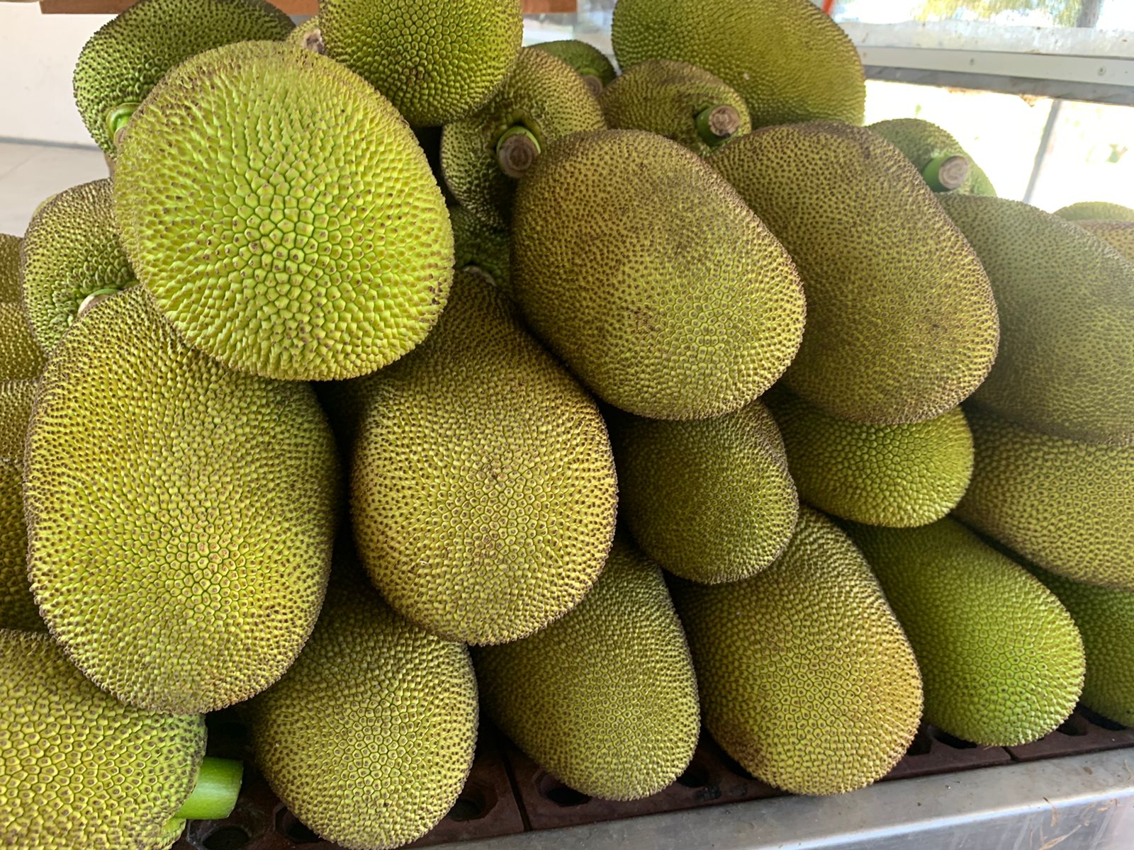 WhatsApp Image 2022-02-20 at 00.39.35 (1).jpeg