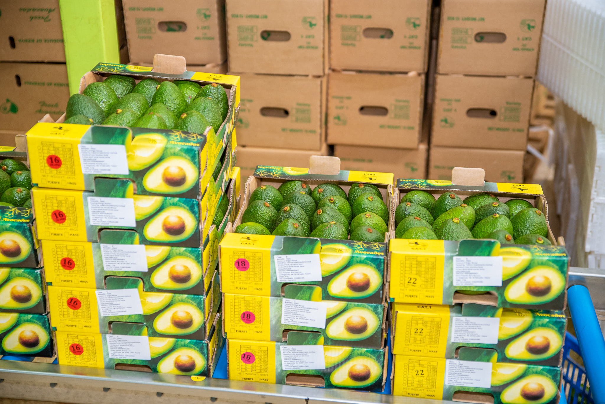 Yo Farm Packaging -40.jpg