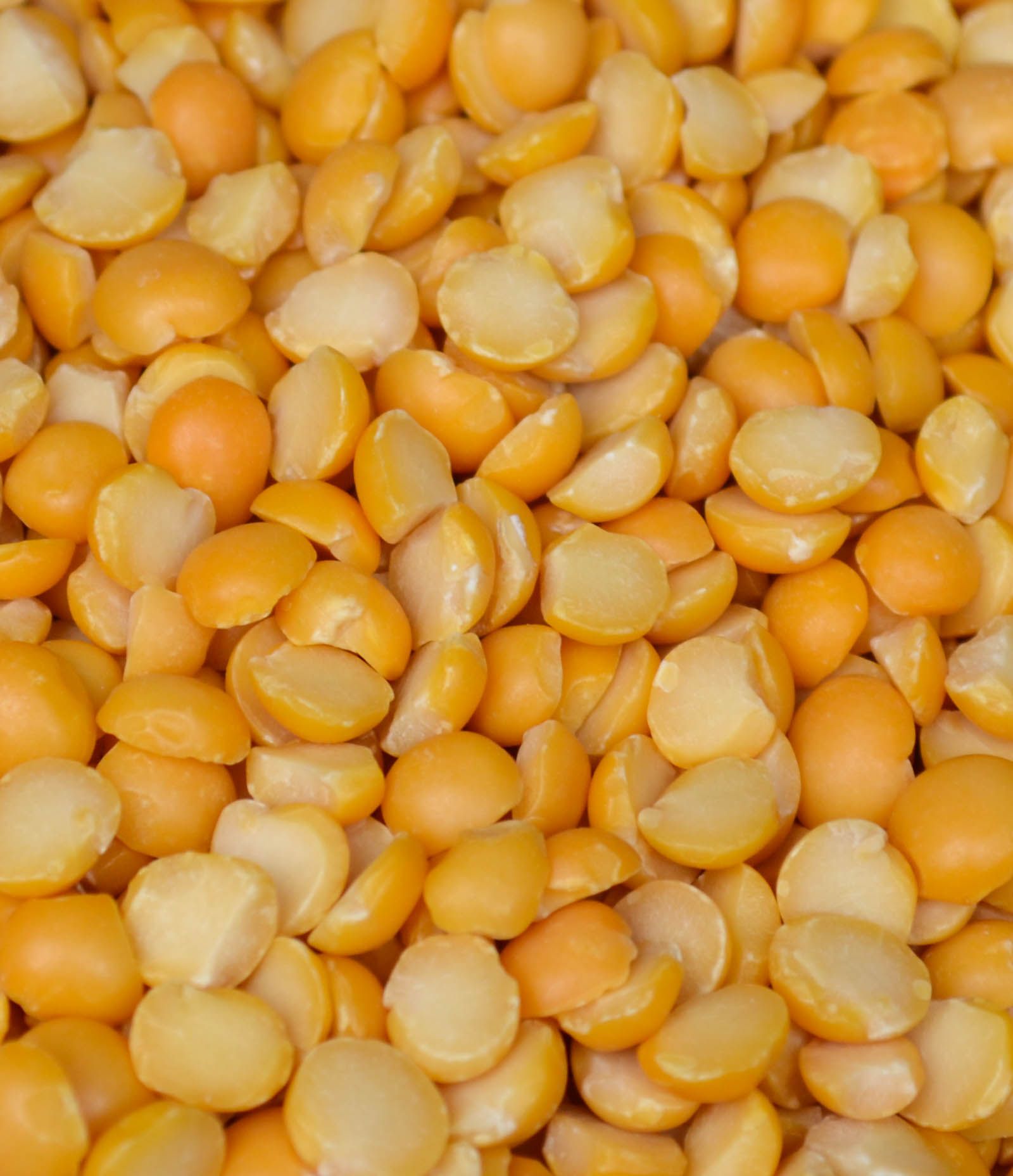 Yellow Split Pea.jpg