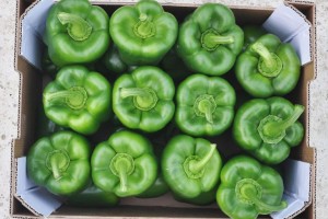 pim_verde1-300x200.jpg