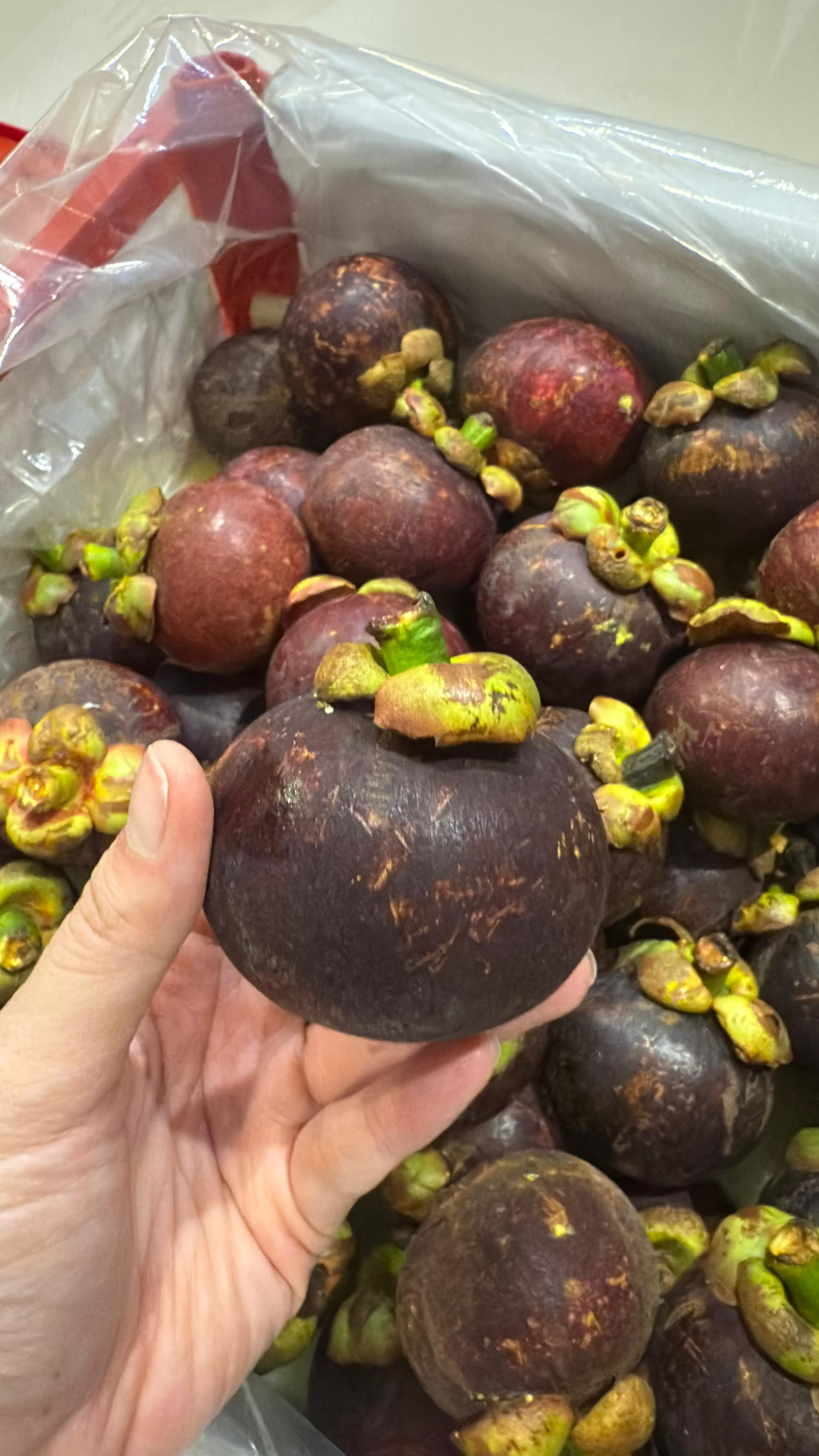 Mangosteen Sagara Rimba Altura - 7.jpeg