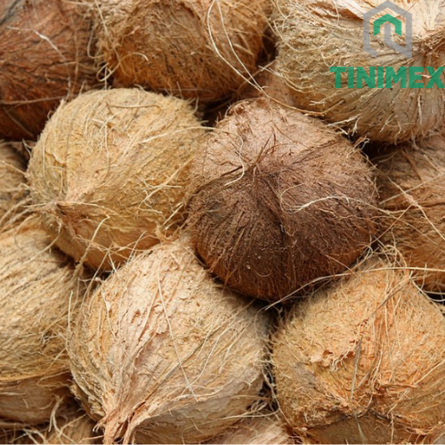 semi husked coconut-1.png