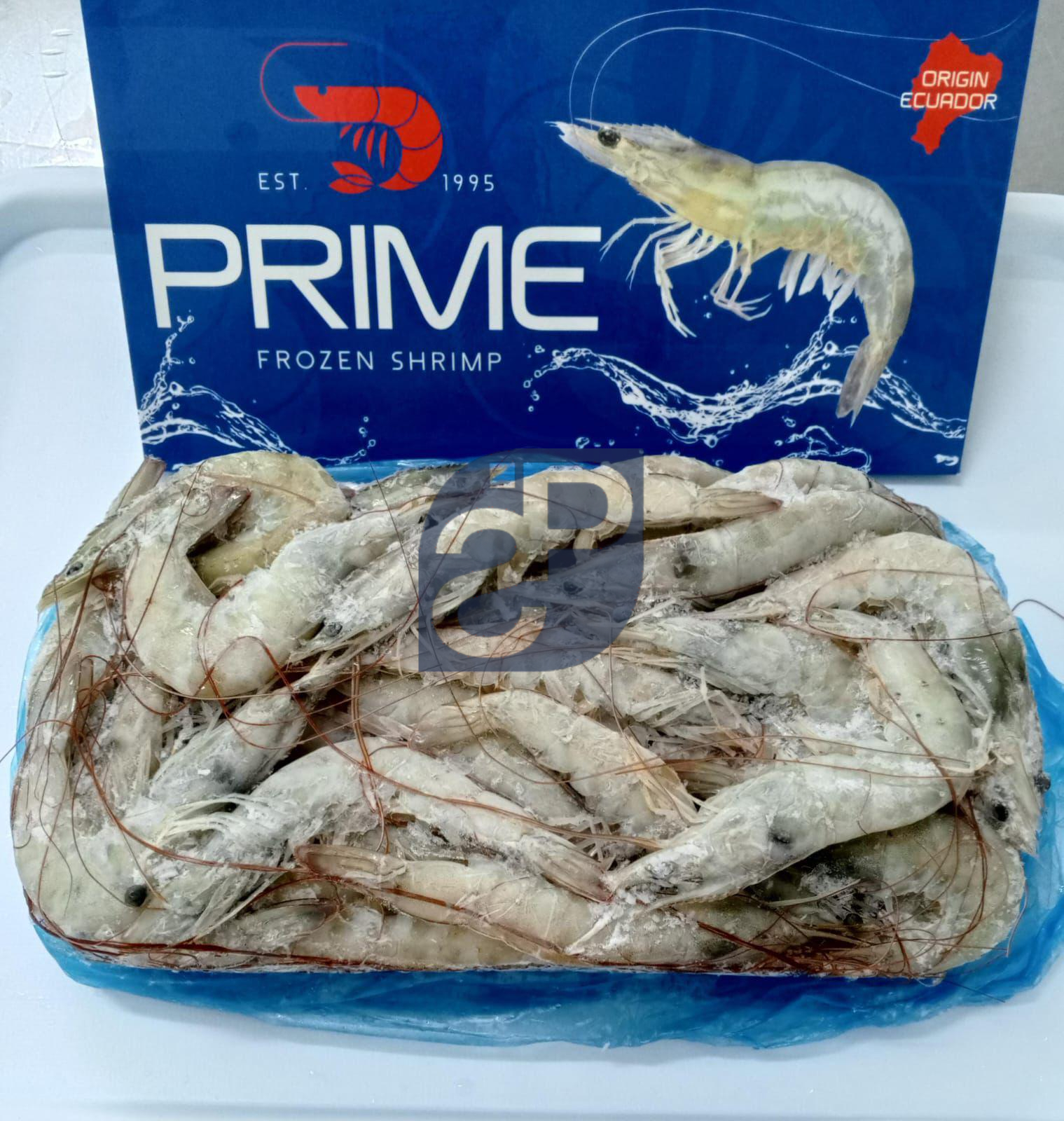 Vannamei Shrimp #9 - Standard & Partners.jpg