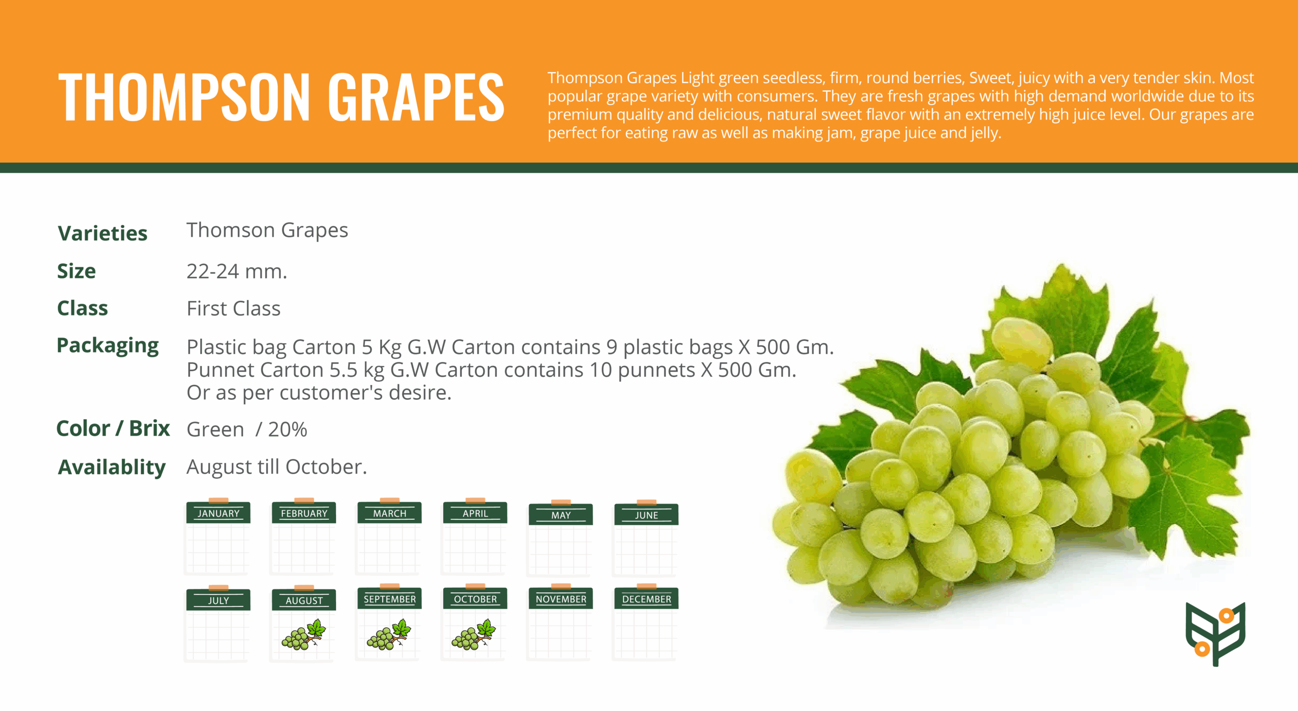 THOMPSON-GRAPES-scaled.png