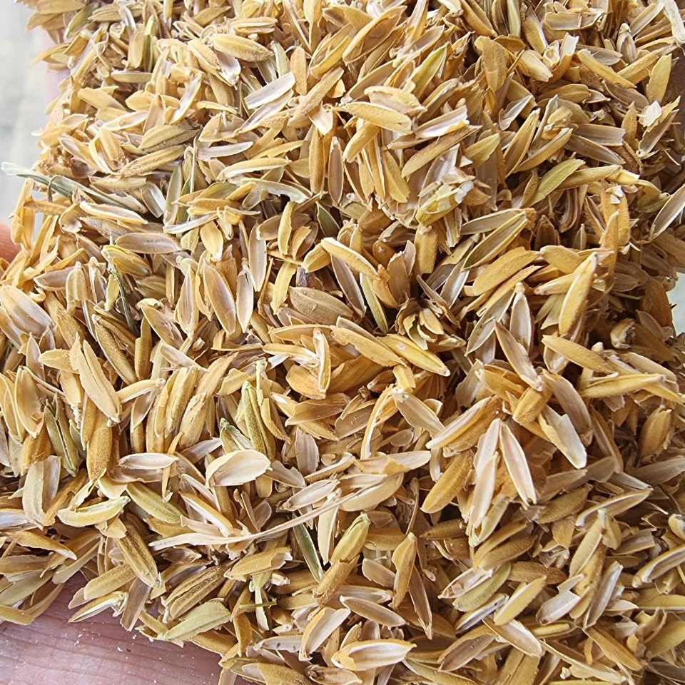 Trấu 2.jpg