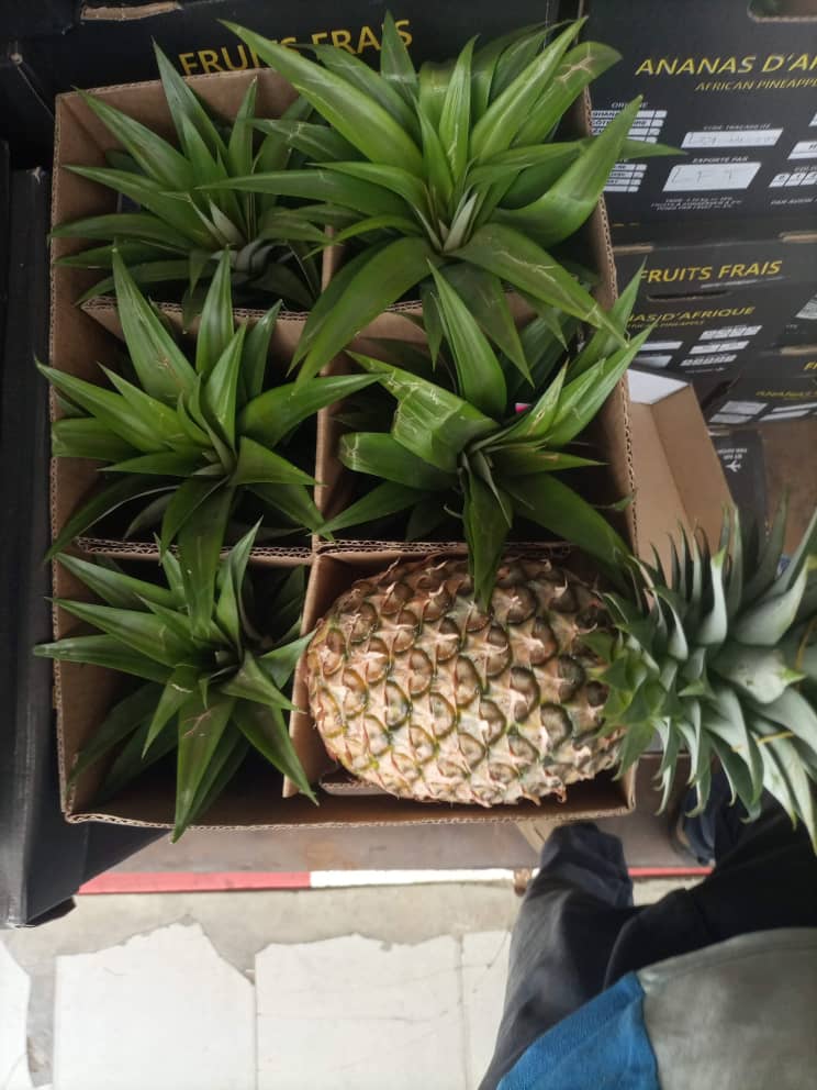 Ananas-Cayenne Lisse Fam#kodra-export 4.JPG