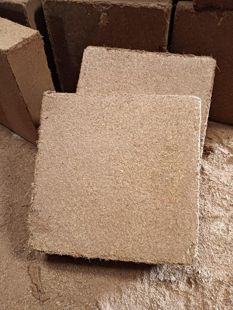 WhatsApp Image 2024-06-15 à 19.03.51_310dc9b7.jpg