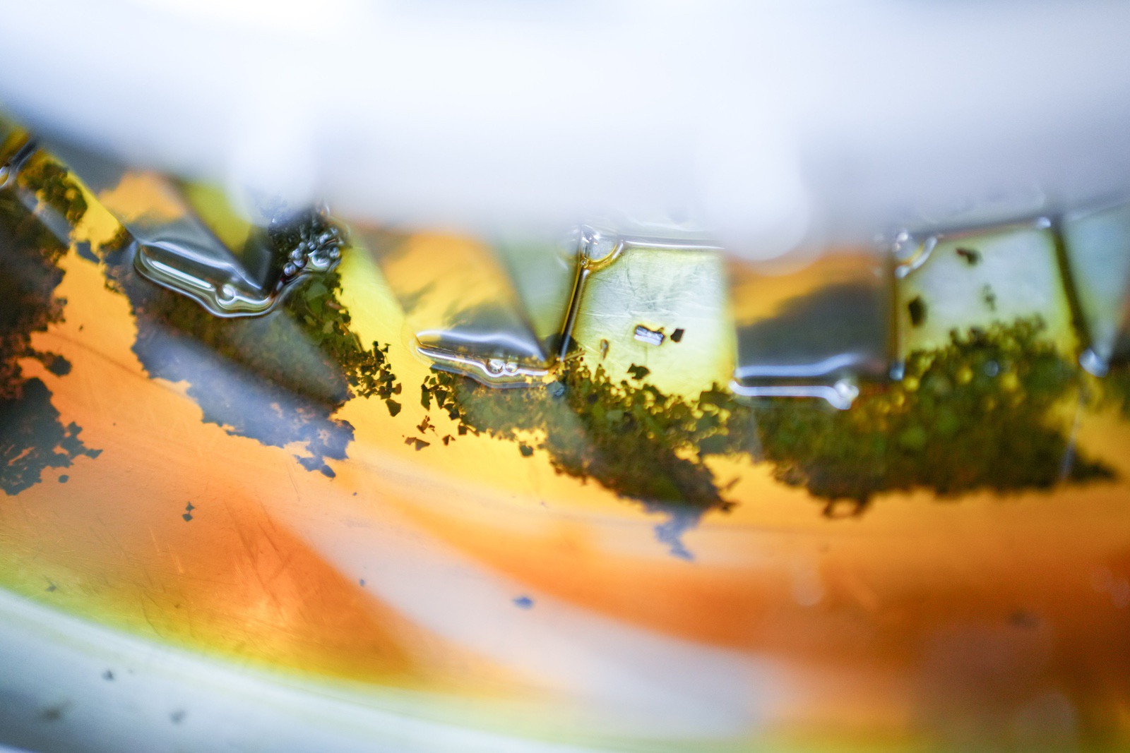 Compressed Andres third visit to Saloya August 2023038.jpg