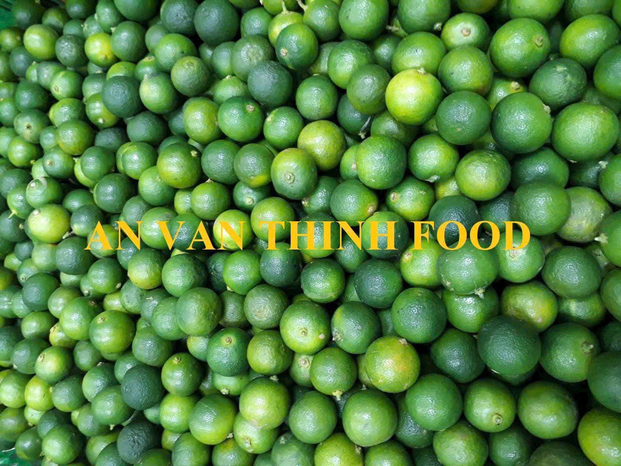 Calamansi 2a.jpg