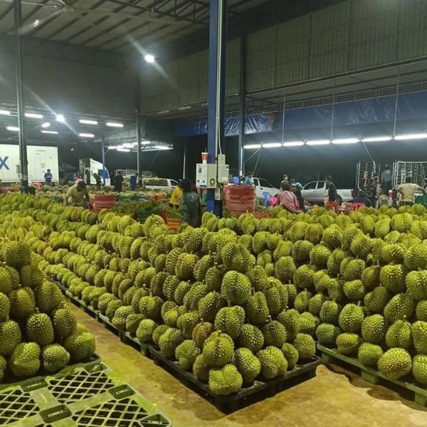 sau_rieng_.webp