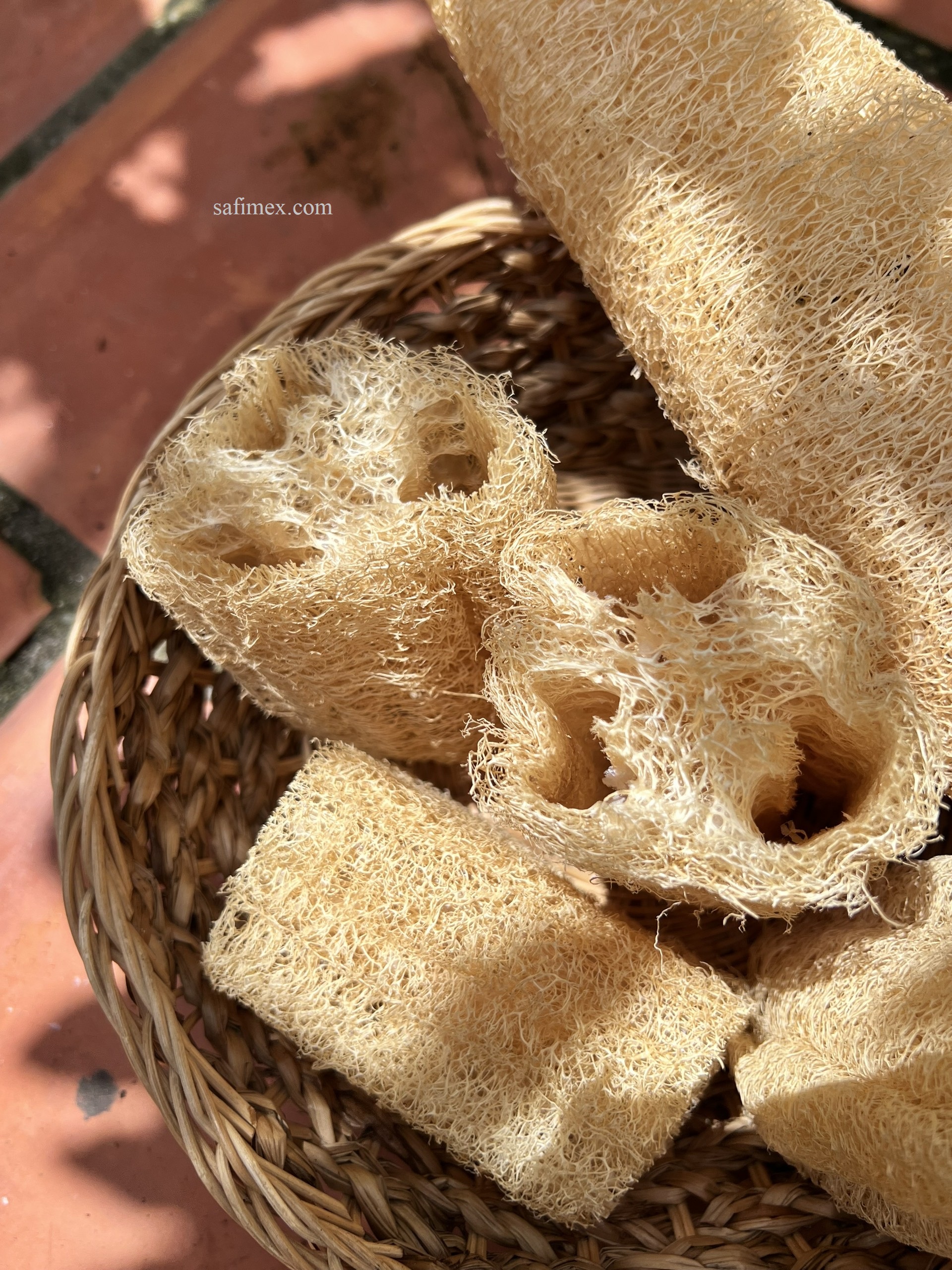 cut loofah.jpg