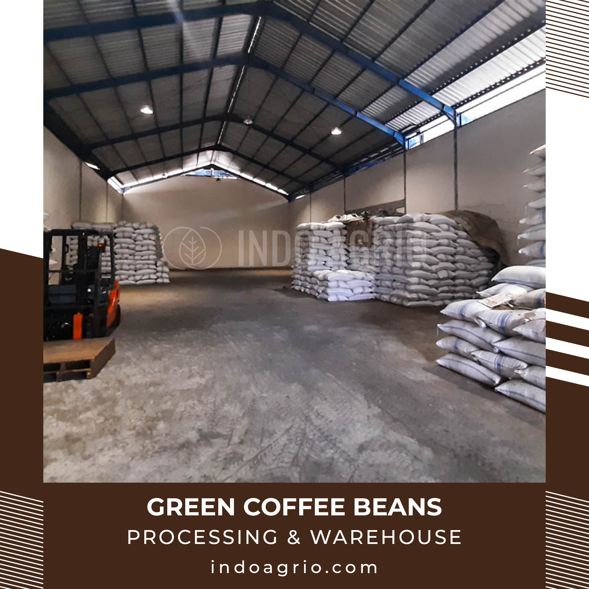 coffee-processing-warehouse-2.jpg