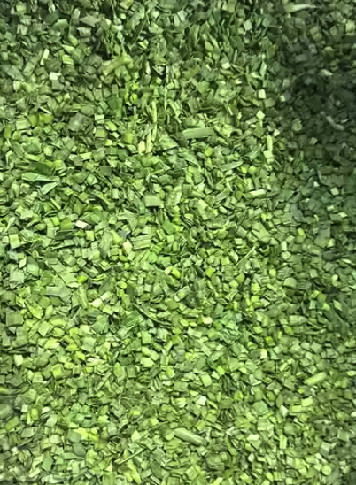 Screenshot 2025-01-03 at 16.33.03.png