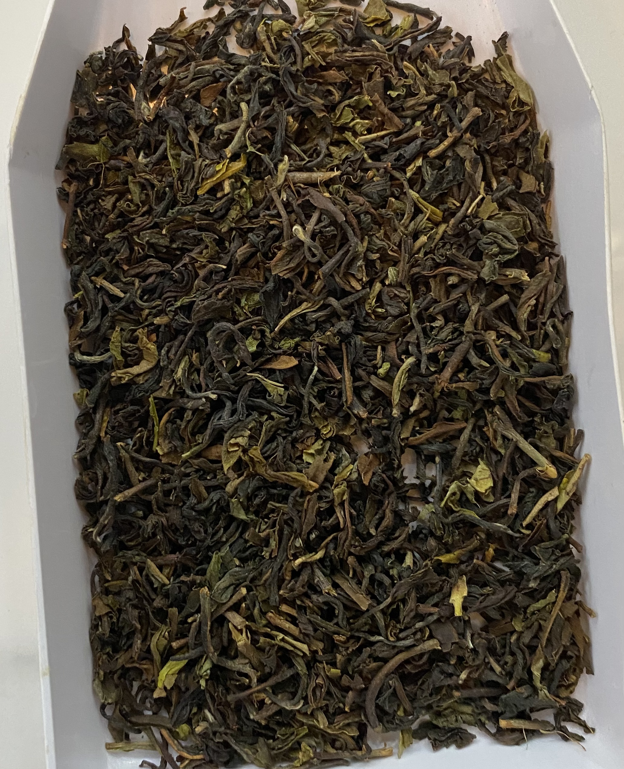 Darjeeling Black Tea OP.jpeg