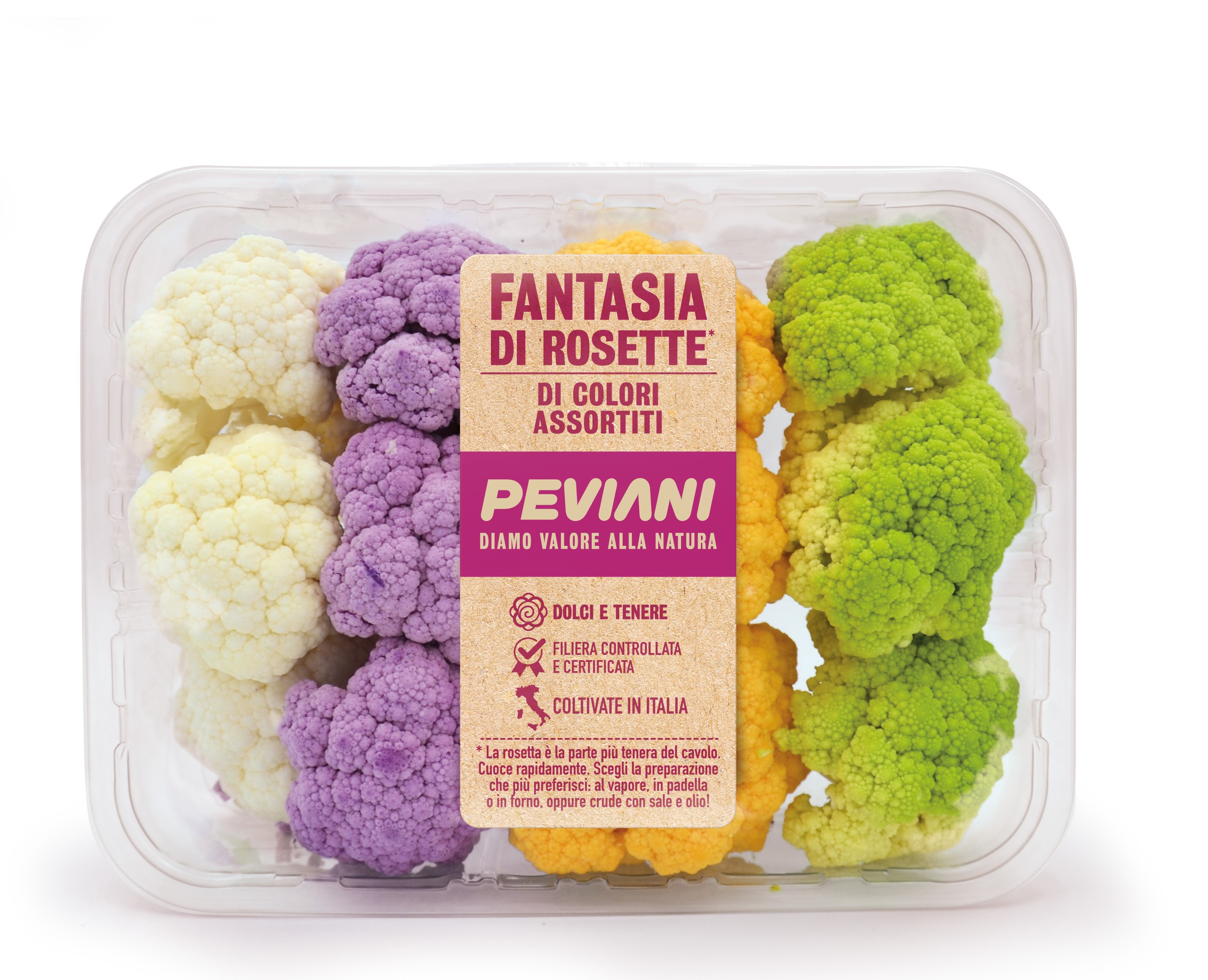 ROSETTE COLORATE PEVIANI 3D.jpg