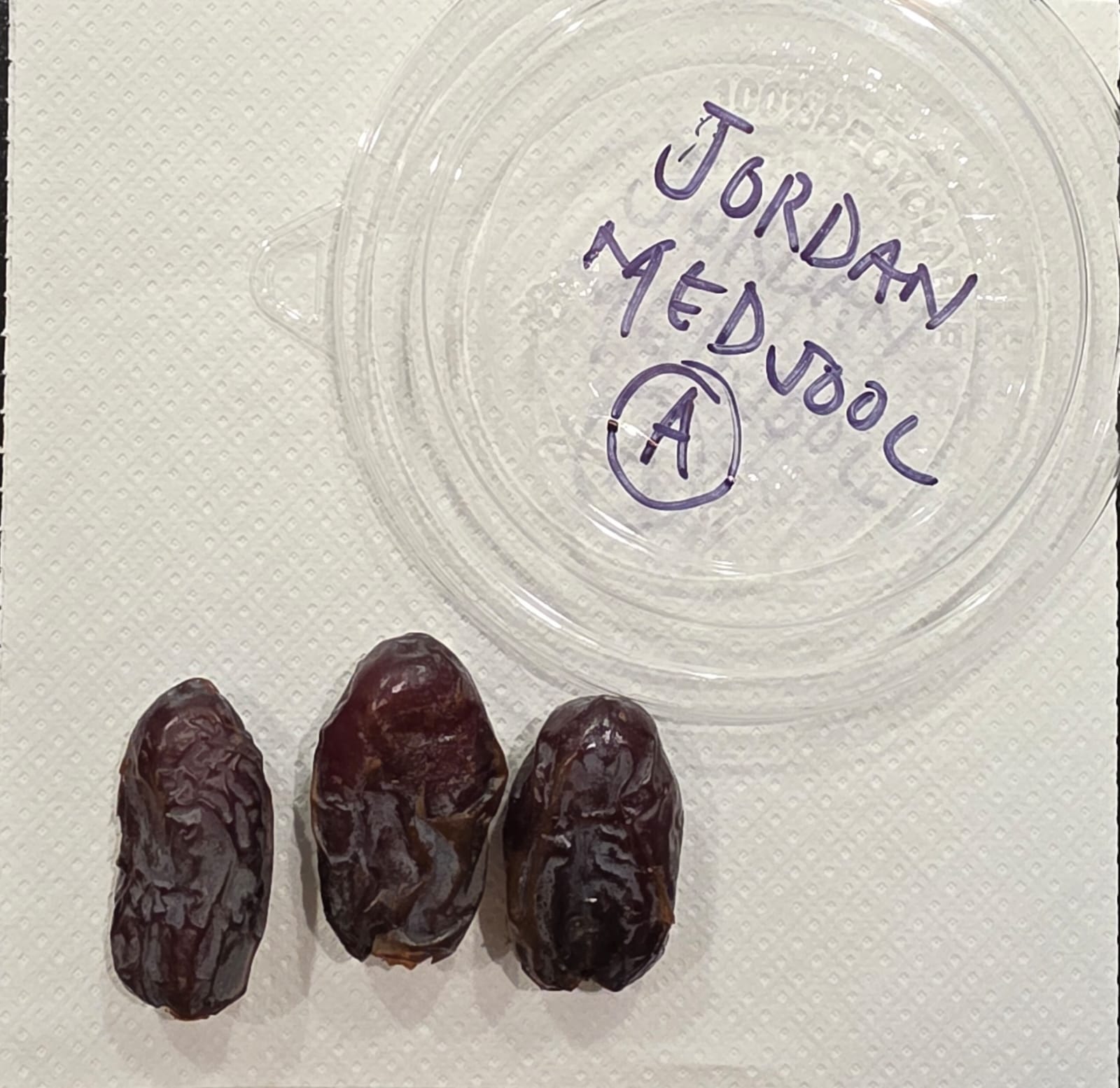 aver-dates-mejdool (2).jpg